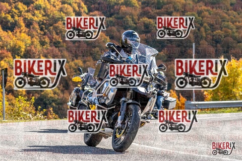 Forca d Acero 19-10-25 h13-54 2979