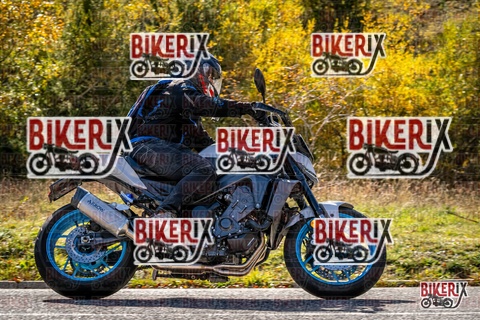 Forca d Acero 19-10-25 h13-57 3003