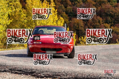 Forca d Acero 19-10-25 h14-10 3064