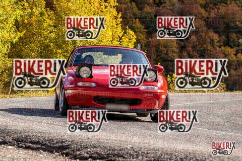 Forca d Acero 19-10-25 h14-10 3065