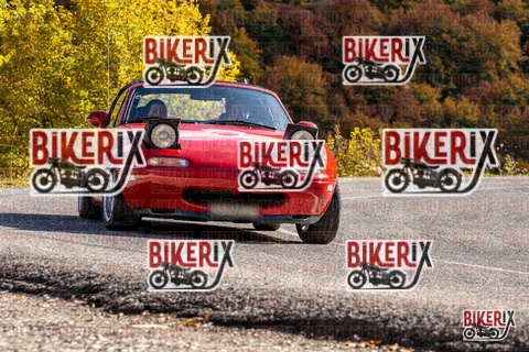 Forca d Acero 19-10-25 h14-10 3066