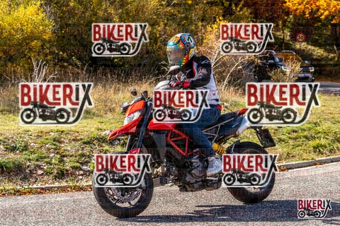 Forca d Acero 19-10-25 h14-17 3072