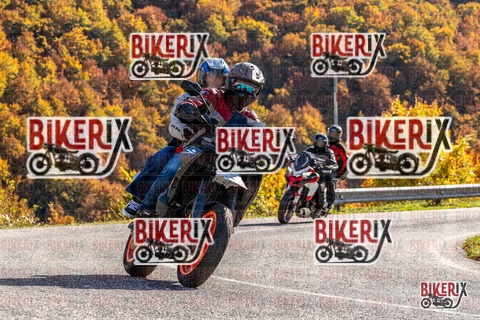 Forca d Acero 19-10-25 h14-20 3074