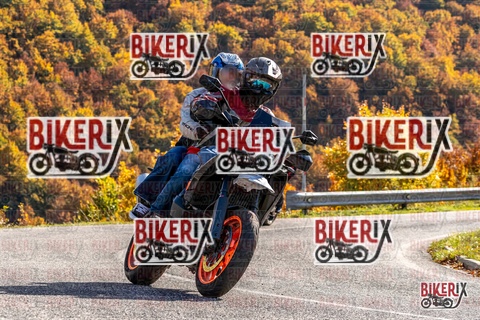 Forca d Acero 19-10-25 h14-20 3075