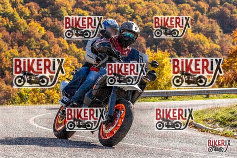 Forca d Acero 19-10-25 h14-20 3076