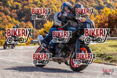 Forca d Acero 19-10-25 h14-20 3077