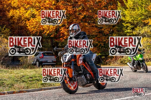 Forca d Acero 19-10-25 h14-20 3082