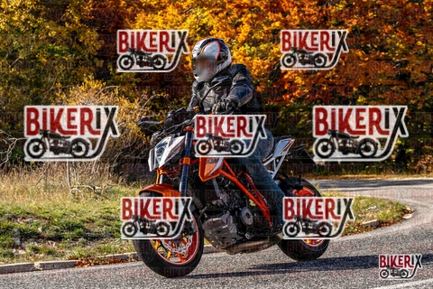 Forca d Acero 19-10-25 h14-20 3083