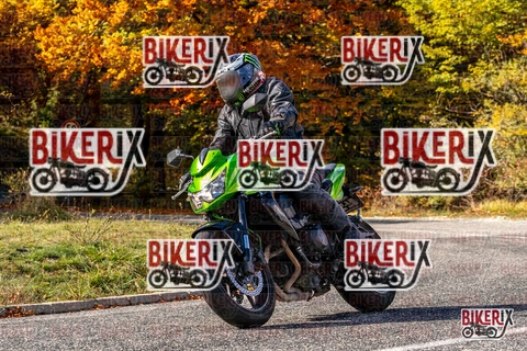 Forca d Acero 19-10-25 h14-20 3084