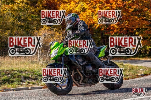 Forca d Acero 19-10-25 h14-20 3085