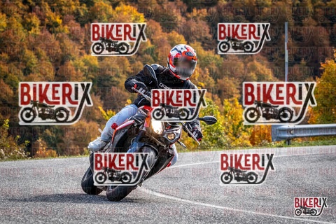 Forca d Acero 19-10-25 h14-24 3091