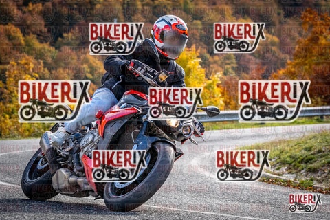 Forca d Acero 19-10-25 h14-24 3092