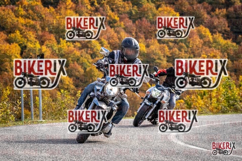 Forca d Acero 19-10-25 h14-24 3093