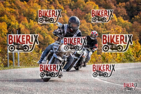 Forca d Acero 19-10-25 h14-24 3094