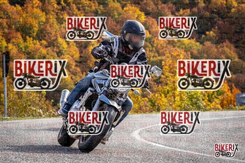 Forca d Acero 19-10-25 h14-24 3095