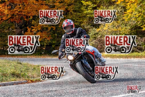 Forca d Acero 19-10-25 h14-24 3099