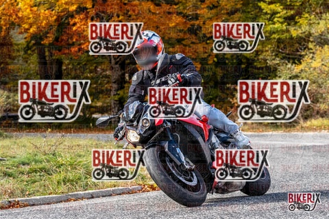 Forca d Acero 19-10-25 h14-24 3100