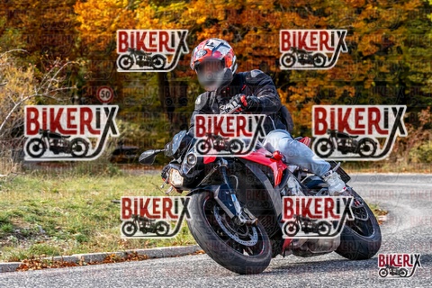 Forca d Acero 19-10-25 h14-24 3101