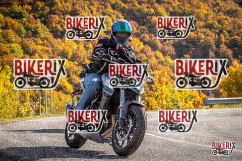 Forca d Acero 19-10-25 h14-28 3112