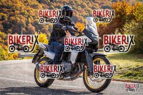 Forca d Acero 19-10-25 h14-28 3115