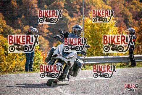 Forca d Acero 19-10-25 h14-35 3135