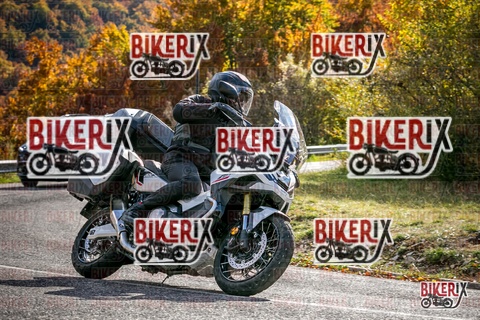 Forca d Acero 19-10-25 h14-36 3138