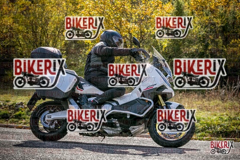 Forca d Acero 19-10-25 h14-36 3139