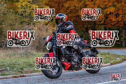 Forca d Acero 19-10-25 h16-15 3678