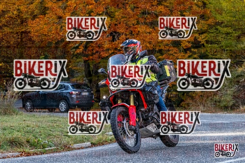 Forca d Acero 19-10-25 h16-16 3683