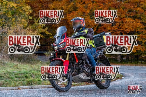 Forca d Acero 19-10-25 h16-16 3685