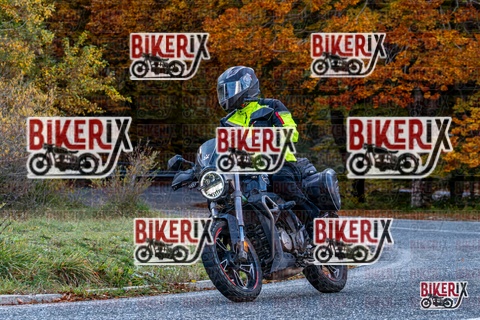 Forca d Acero 19-10-25 h16-22 3695