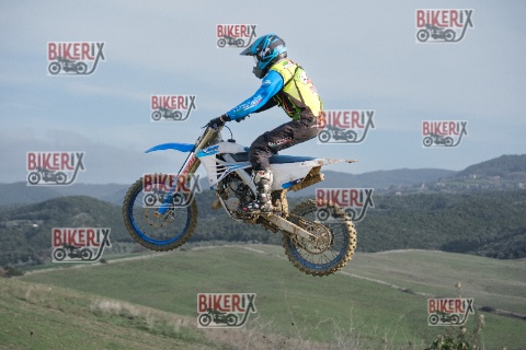 Malandrone 03-01-26 h11-49 0003