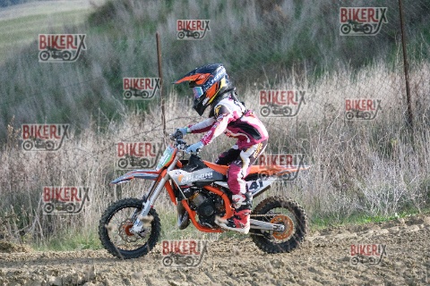 Malandrone 03-01-26 h11-52 0007