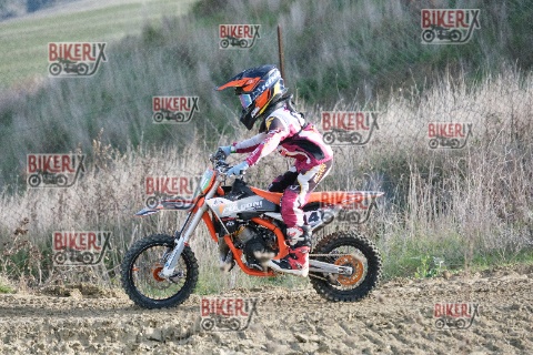 Malandrone 03-01-26 h11-52 0008