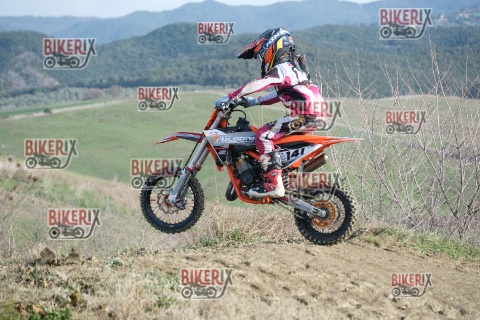 Malandrone 03-01-26 h11-52 0010