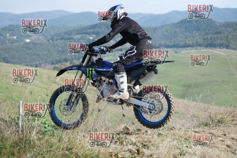 Malandrone 03-01-26 h11-52 0012