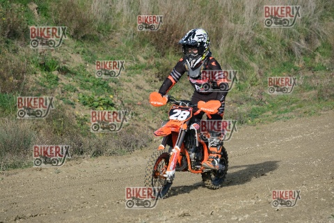 Malandrone 03-01-26 h11-53 0019