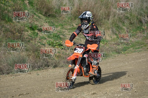 Malandrone 03-01-26 h11-53 0020