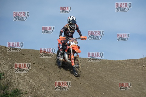 Malandrone 03-01-26 h11-55 0022