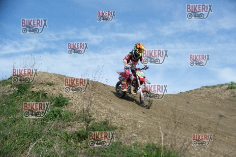 Malandrone 03-01-26 h11-57 0039