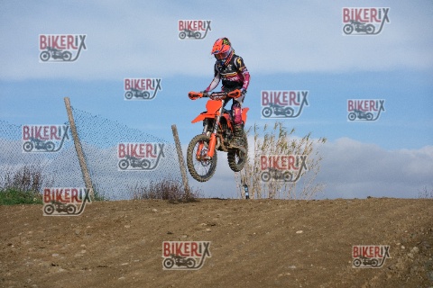 Malandrone 03-01-26 h12-06 0050