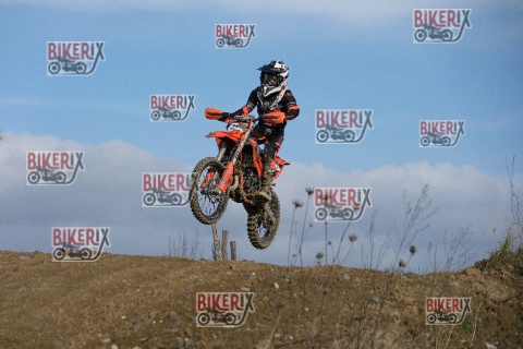 Malandrone 03-01-26 h12-06 0056