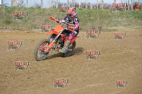 Malandrone 03-01-26 h12-08 0061