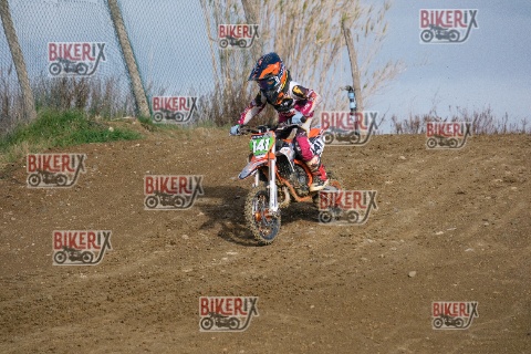 Malandrone 03-01-26 h12-09 0069