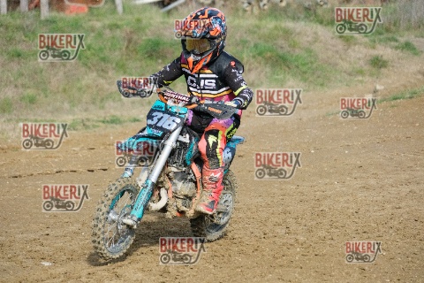 Malandrone 03-01-26 h12-09 0074