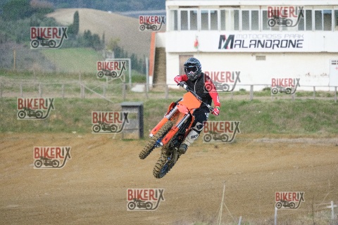 Malandrone 03-01-26 h12-30 0109