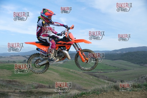 Malandrone 03-01-26 h13-05 0191