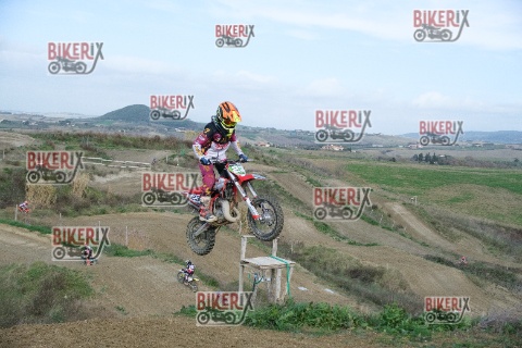 Malandrone 03-01-26 h13-05 0196