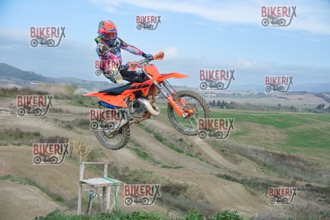 Malandrone 03-01-26 h13-07 0212