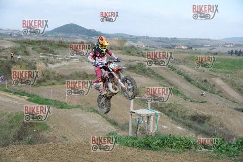 Malandrone 03-01-26 h13-08 0216